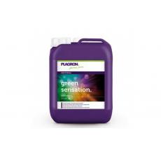 Plagron Green Sensation 5 Liter + 100 ml Sugar Royal