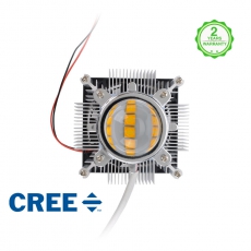 CREE XTE 3000k Naked COB 120 Watt